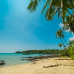 goa