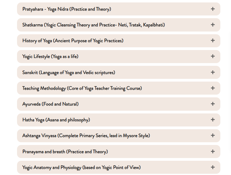 Curriculum