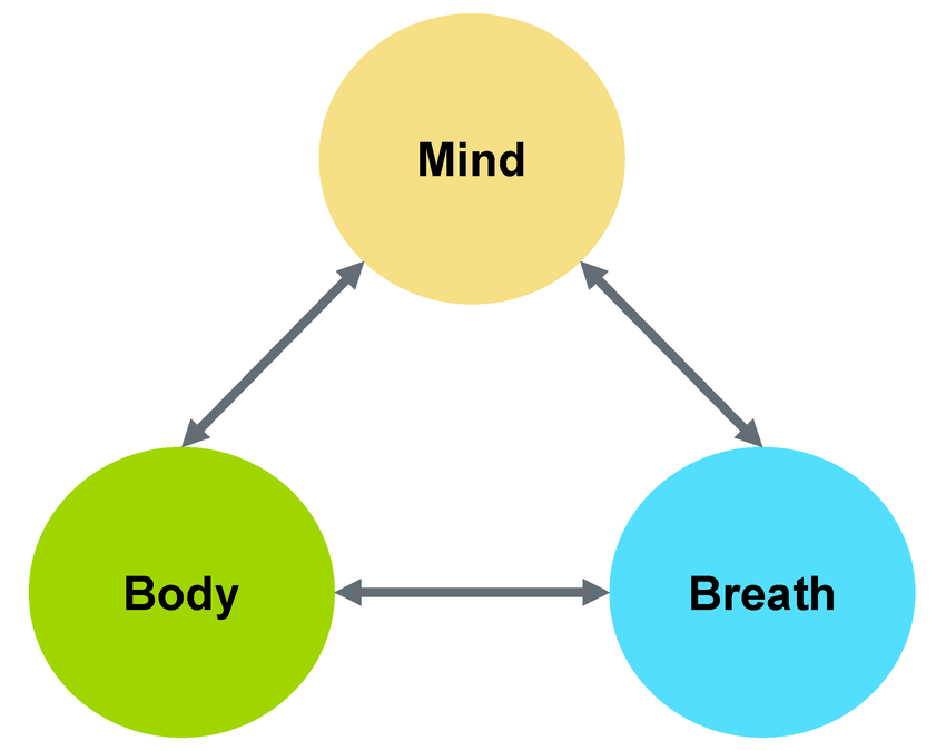 Connection Between Body, Breath, and Mind