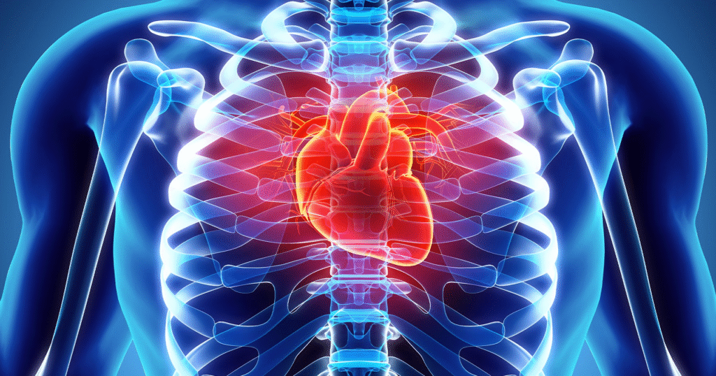 Cardiovascular Health
