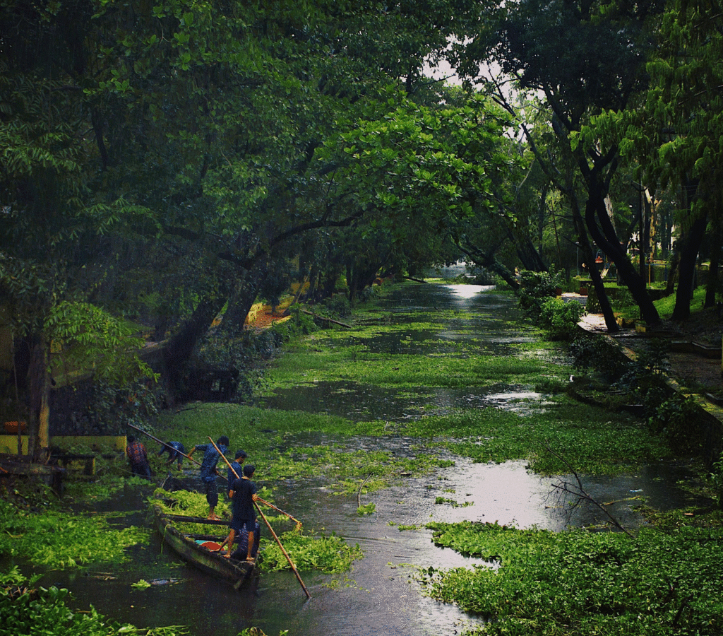 monsoon season kerala